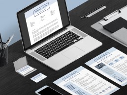 Pro Resume 1 - Desktop Layout