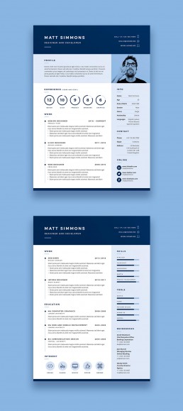 Pro Resume 2 - Two Page Creative Resume Template